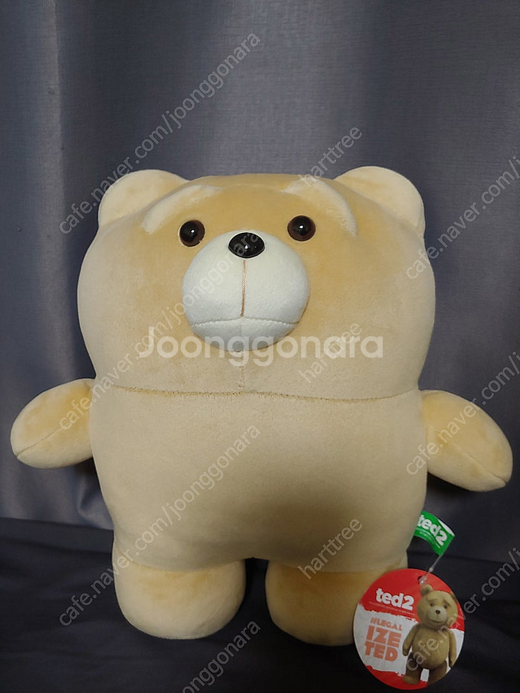19곰 테드 모찌 인형--0