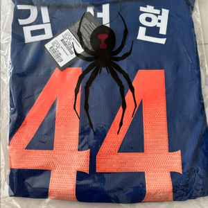 한화이글스 어센틱 썸니폼 정가양도 김서현
