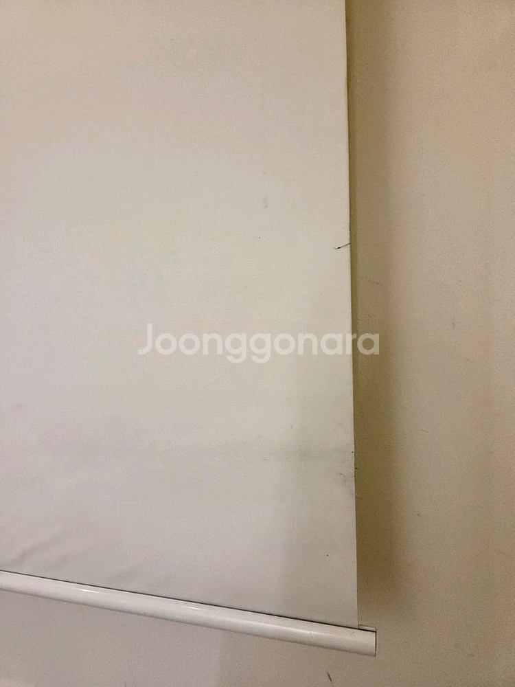 대형 화이트 롤스크린--2