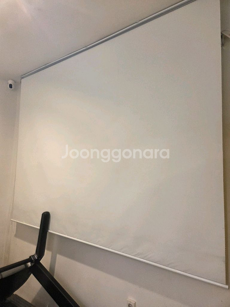 대형 화이트 롤스크린--1