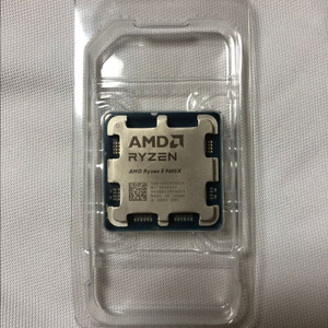 라이젠 9600x