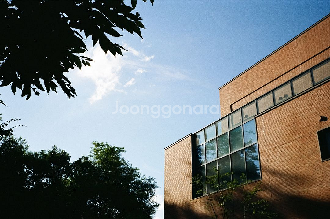 contax 콘탁스 t--9