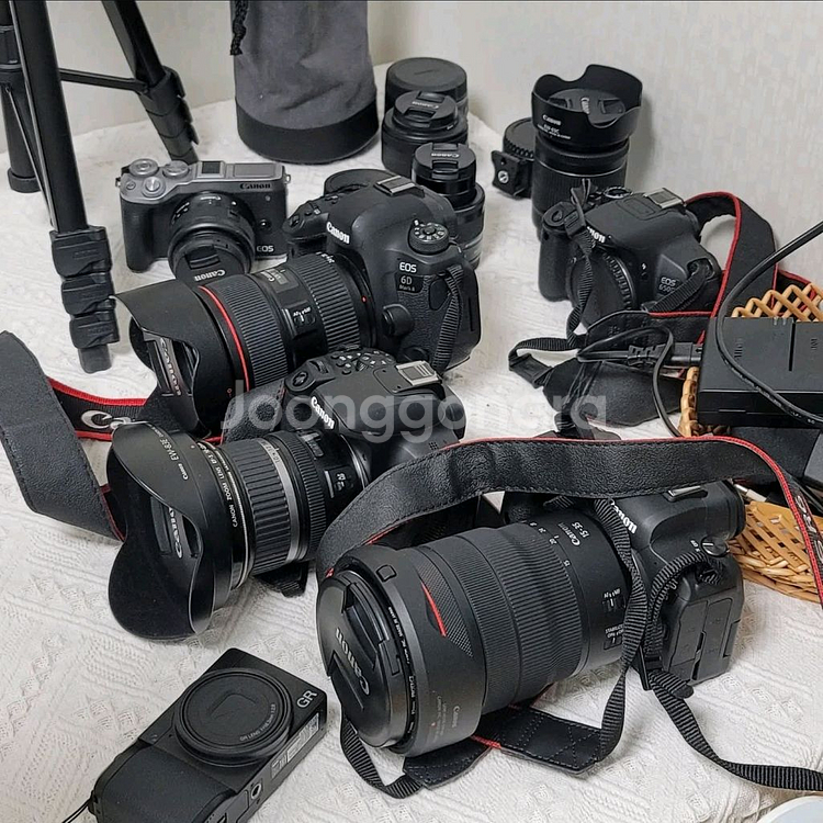 캐논 EF 24-70mm F2.8L II USM 신계륵--1
