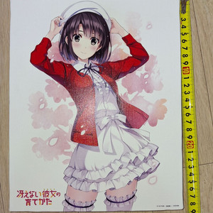 시원찮은 육성방법(사카에노) 캔버스아트