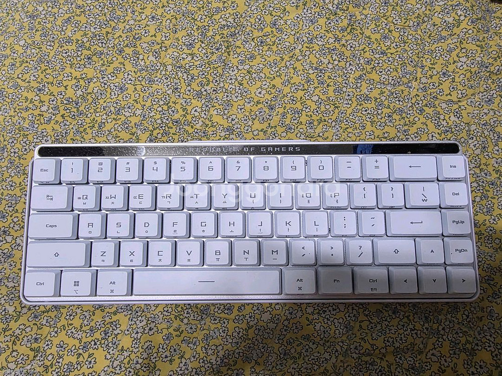 ROG FALCHION RX Low Profile--0