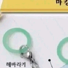 꽃메지루시 해바라기