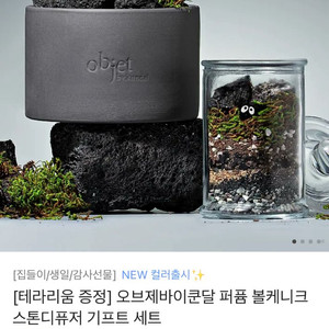 귀여운 스톤 디퓨저