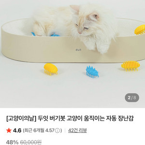 두잇 버기봇 고양이 장난감