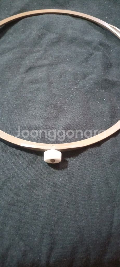 전자레인지 회전링--4