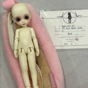 구체관절인형