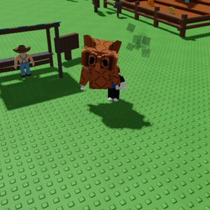 그로우 어 가든 쿡 부엉이