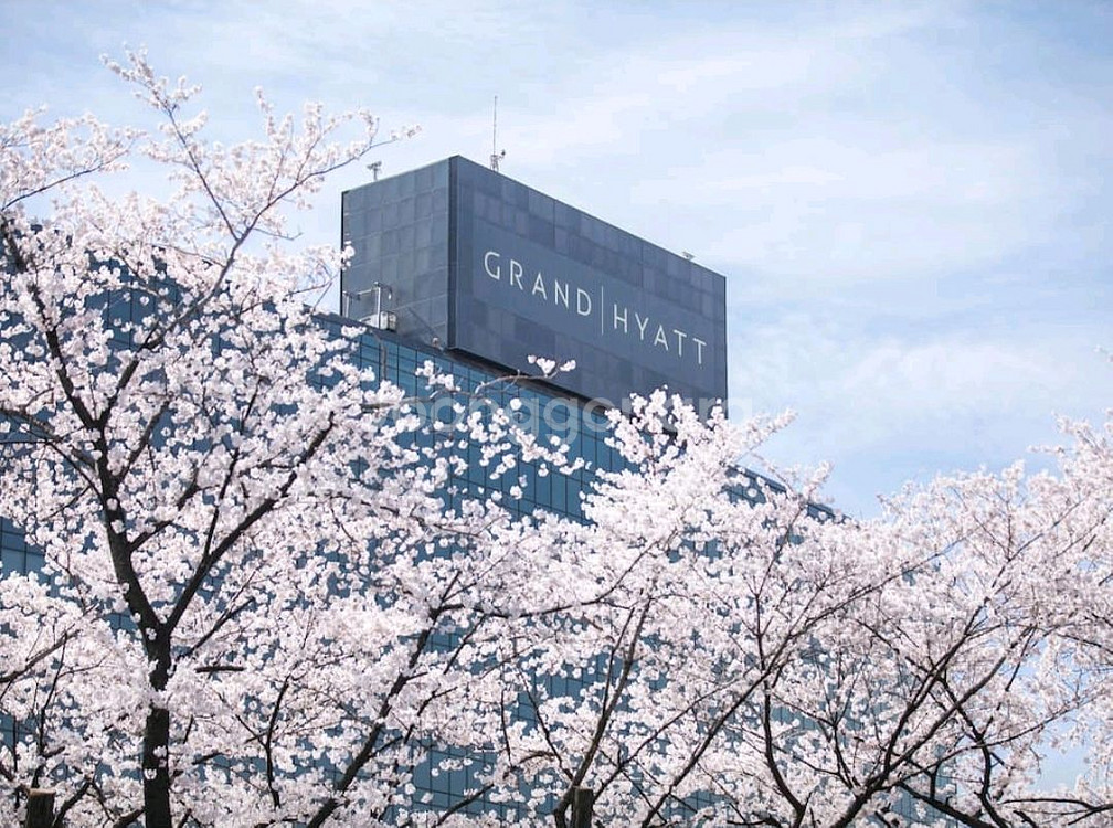 그랜드 하얏트 서울 클럽이용룸 급처--0