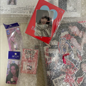 에스파 포토카드 굿즈