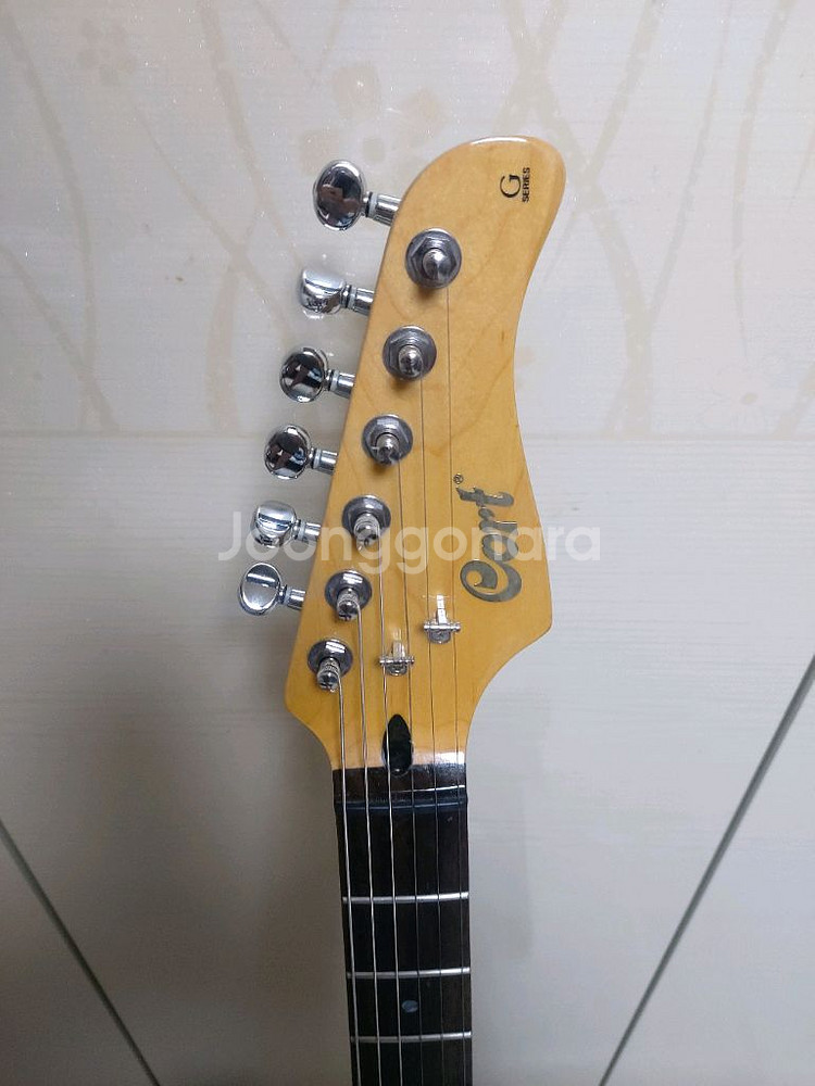 콜트 G250 일렉기타 (가방 포함)--2