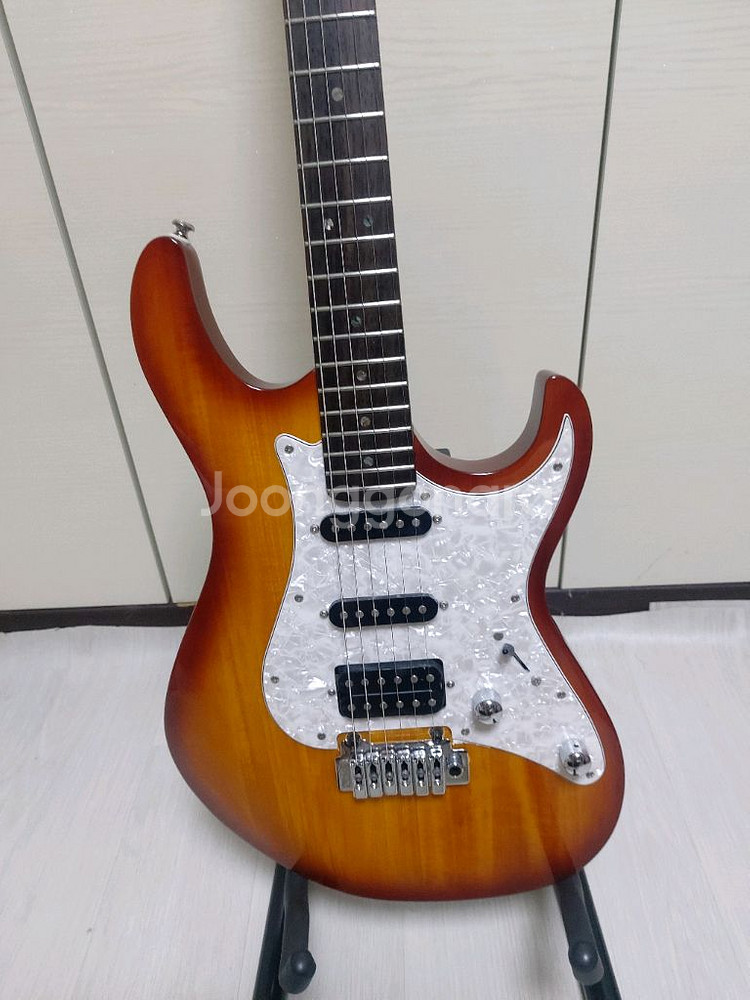 콜트 G250 일렉기타 (가방 포함)--1