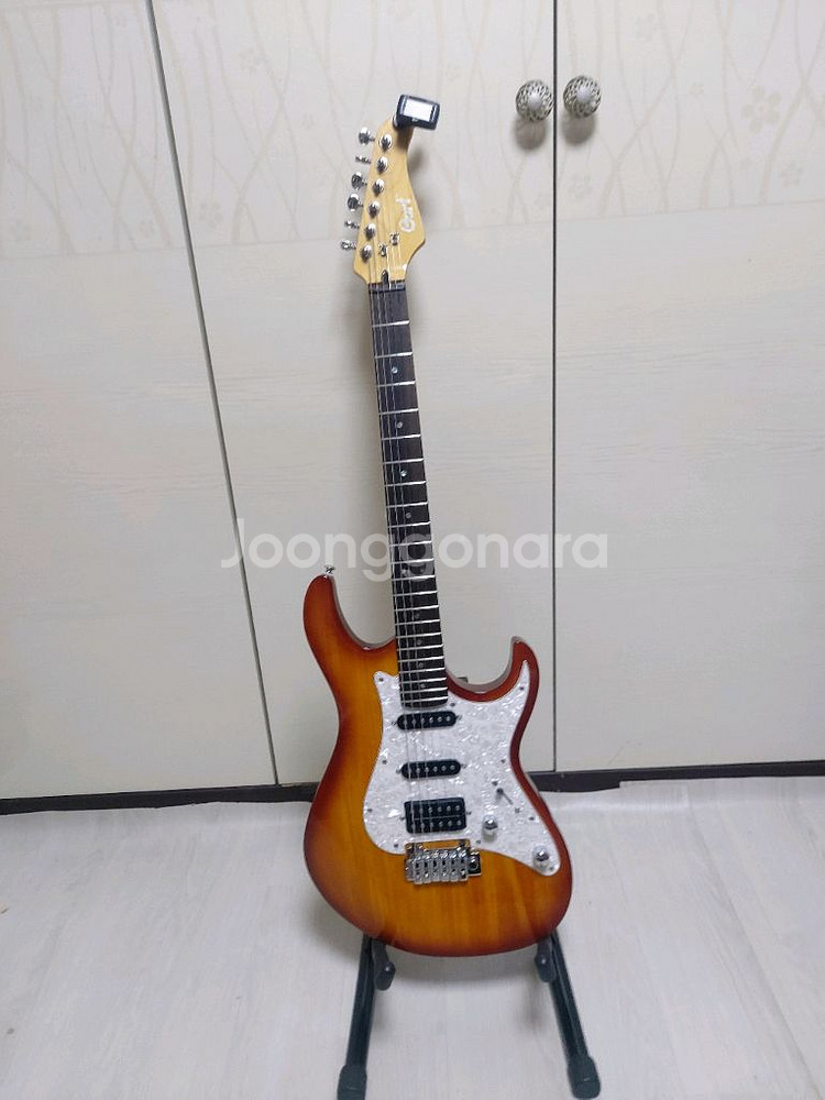 콜트 G250 일렉기타 (가방 포함)--0