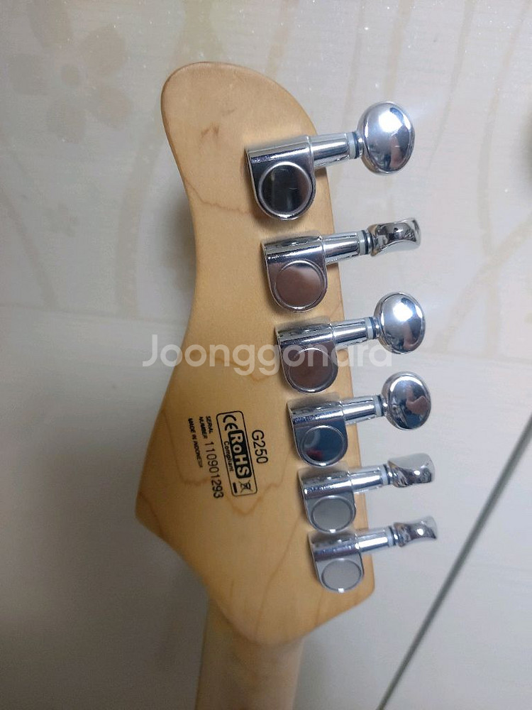 콜트 G250 일렉기타 (가방 포함)--4