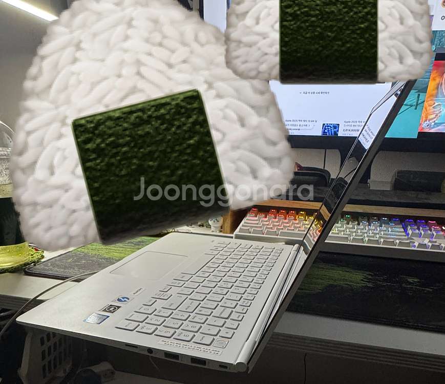 LG 그램 노트북 i5 16 인치 화이트--9