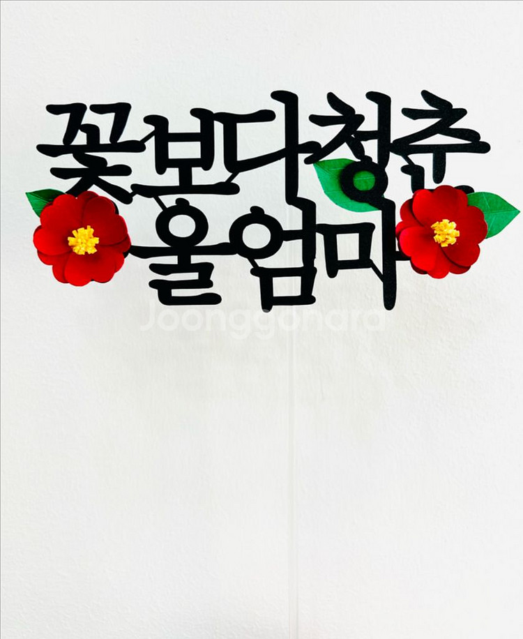 생신 생일 환갑 케이크토퍼 소품 인테리아--0