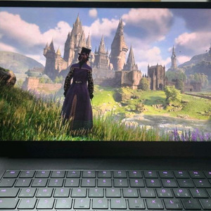 레이저 블레이드 4K 하이엔드/램32,RTX3080Ti