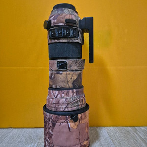 시그마 150-600mm 스포츠 캐논 ef 마운트