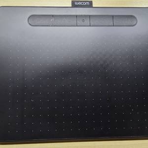 와콤 인튜어스 중형 CTL 6100WL