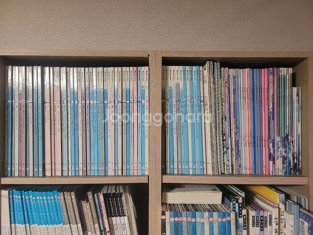 역지사지 세계문화--0