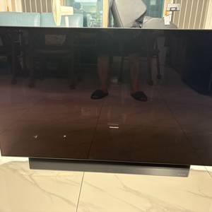 LG OLED 48인치
