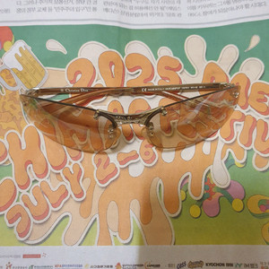 크리스찬 디올 선글라스