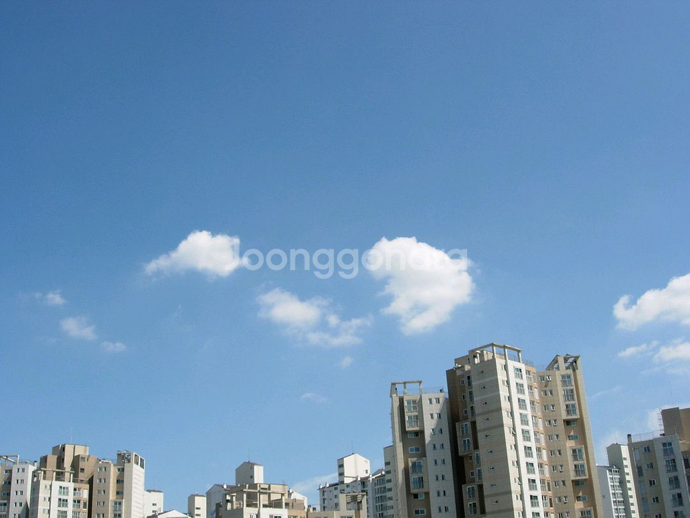 (택포가) (가격다운)빈티지 니콘 쿨픽스 4200--8