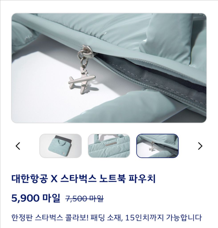 대한항공*스타벅스 콜라보 노트북 파우치 이미지
