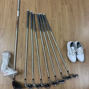 테일러메이드 드라이버, 아이언세트, 나이키 골프화
