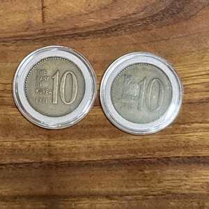 1981년 10주 사용제