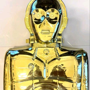스타워즈 C-3PO 피규어 케이스