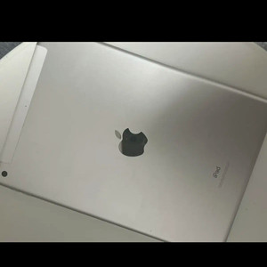 아이패드 7세대 셀룰러 태블릿 128GB