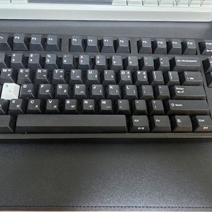 레오폴드 fc750rbt 저소음 적축, 블랙