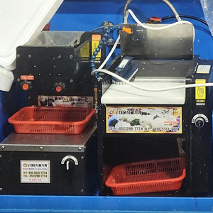 대운식품 회도리세트