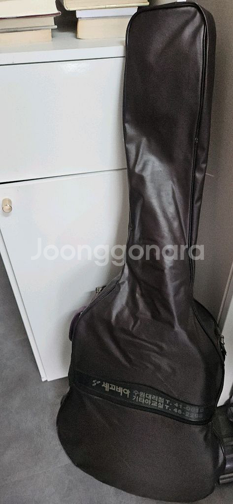 세고비아기타SJ 61--3