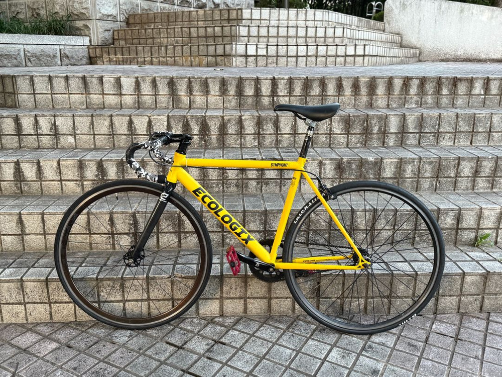 바이큰 에콜로직스 심포니5 21년식 상태A급 판매 이미지