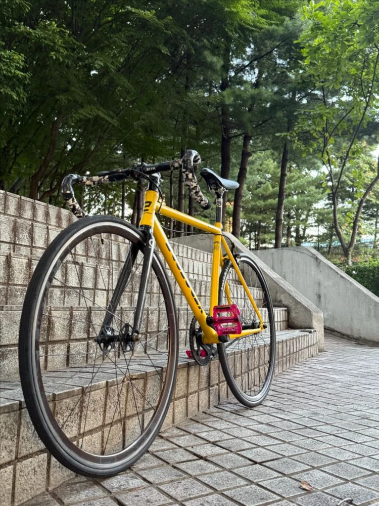 바이큰 에콜로직스 심포니5 21년식 상태A급 판매 이미지