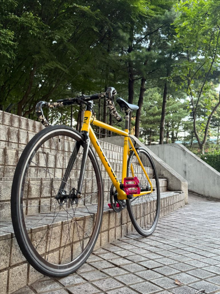 바이큰 에콜로직스 심포니5 21년식 상태A급 판매 이미지