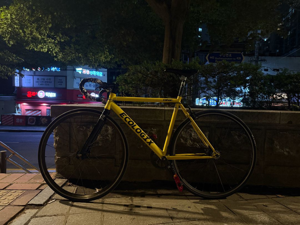 바이큰 에콜로직스 심포니5 21년식 상태A급 판매 이미지