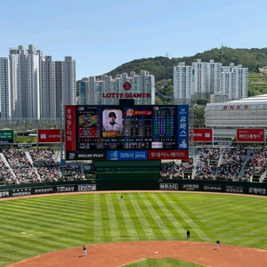 롯데 vs 삼성 8월 16일 토요일 3루 내야필드석