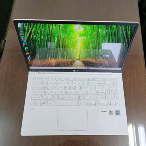 LG그램 노트북 15ZB995, i5 10세대, 16G