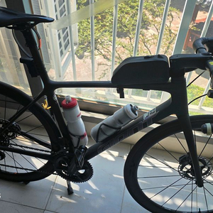 자이언트 23년 tcr sl0 민트급