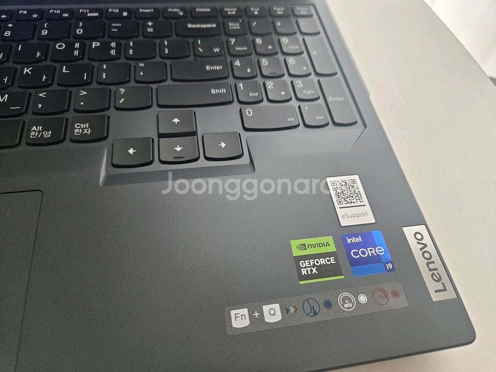 레노버 Legion Pro 5i i9 14세대 4070--5
