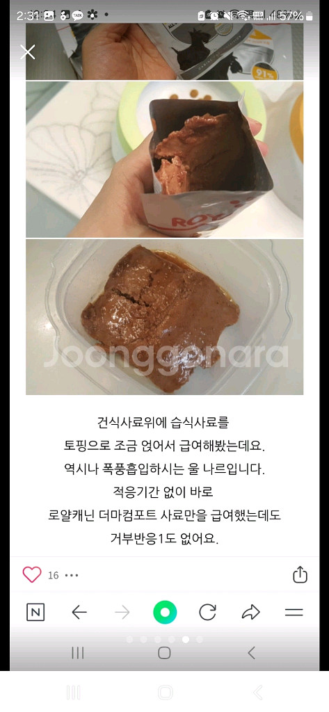 로얄캐닌 더마컴포드 85G. 14팩--3