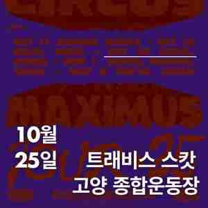 트래비스스캇 콘서트 스탠딩 B구역 단석 판매