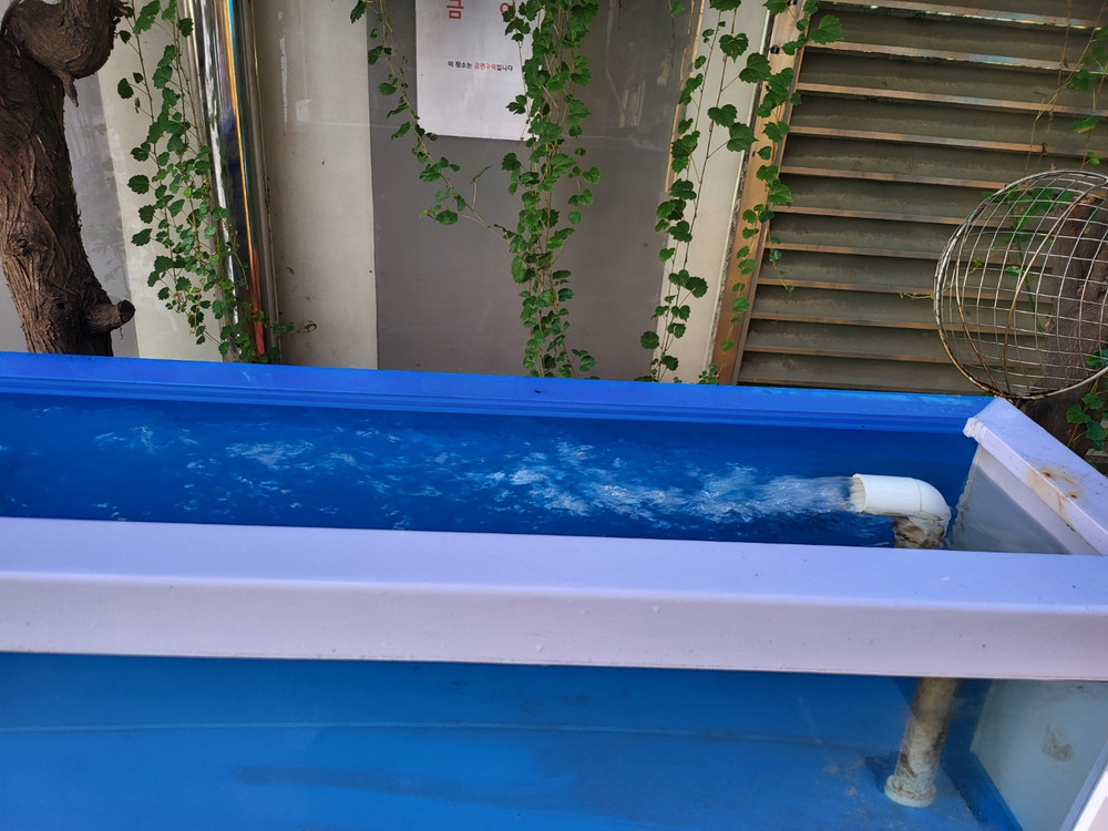 업소용수족관. 횟집수족관. 활어수족관.2단수족관.수족관 이미지