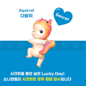 소니엔젤 히퍼 루킹 백 시크릿 다람쥐